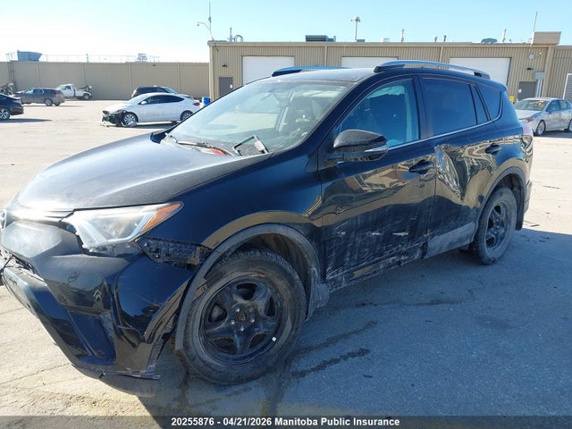 20255876 :رقم المزاد ، 2T3BFREV3GW512132 vin ، 2016 Toyota Rav4 Le مزاد بيع