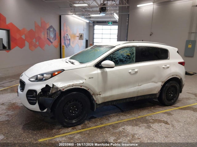20255900 :رقم المزاد ، KNDPMCAC2K7508980 vin ، 2019 Kia Sportage Lx مزاد بيع