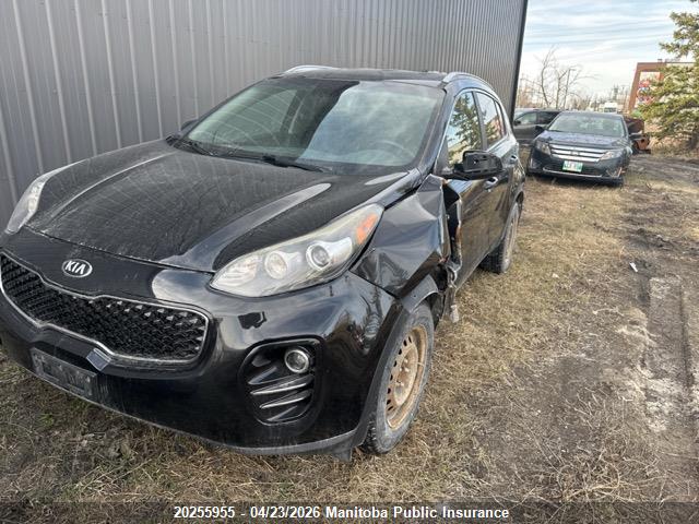 2017 Kia Sportage Lx მანქანა იყიდება აუქციონზე, vin: KNDPMCAC8H7105062, აუქციონის ნომერი: 20255955