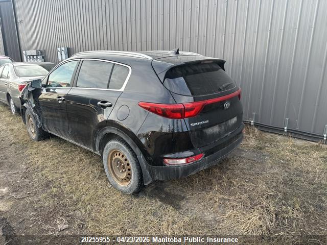 2017 Kia Sportage Lx მანქანა იყიდება აუქციონზე, vin: KNDPMCAC8H7105062, აუქციონის ნომერი: 20255955
