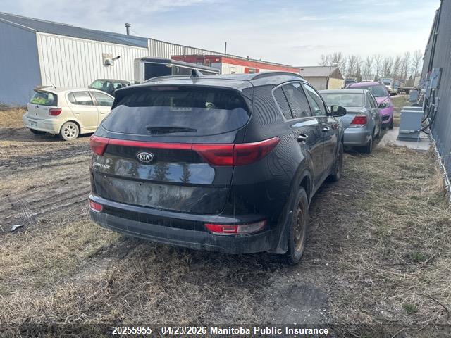 2017 Kia Sportage Lx მანქანა იყიდება აუქციონზე, vin: KNDPMCAC8H7105062, აუქციონის ნომერი: 20255955