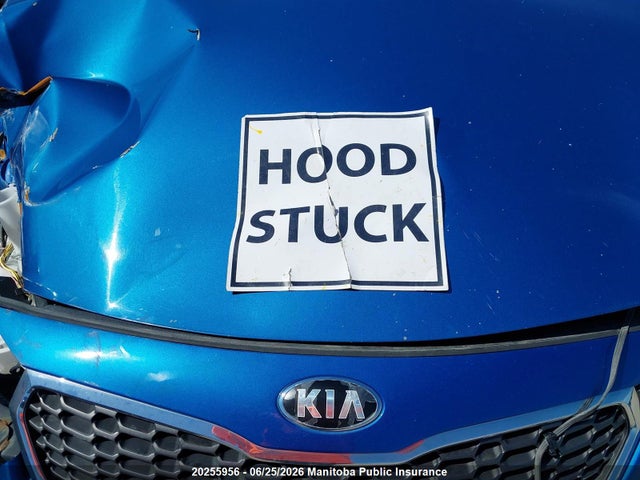 KIA FORTE EX 2014 KNAFK4A64E5216956 Image 10
