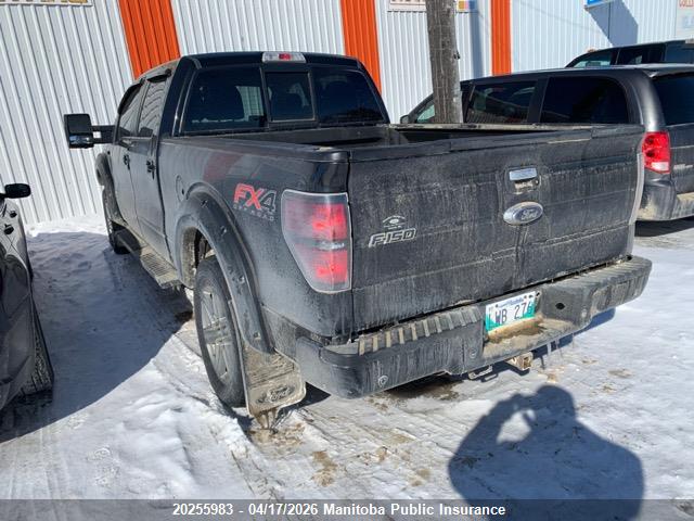 Продажа на аукционе авто 2013 Ford F150 Fx4 Supercrew, vin: 1FTFW1ET2DKE79517, номер лота: 20255983