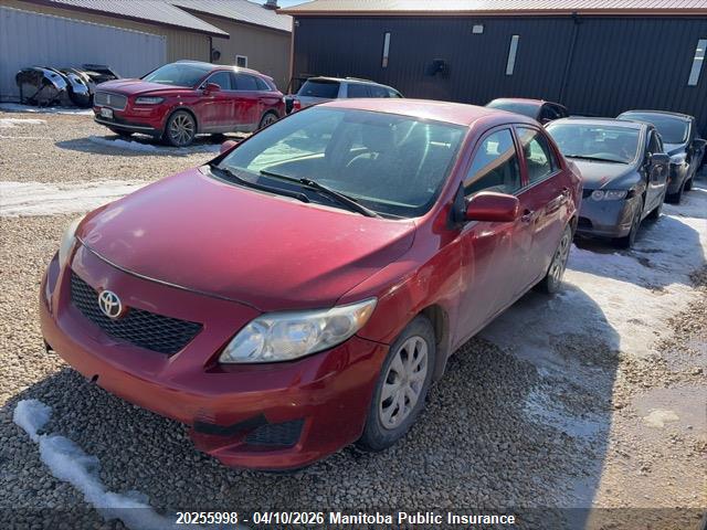 2009 Toyota Corolla მანქანა იყიდება აუქციონზე, vin: 2T1BU40E99C002445, აუქციონის ნომერი: 20255998