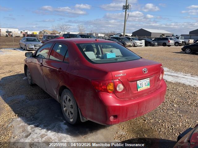 2009 Toyota Corolla მანქანა იყიდება აუქციონზე, vin: 2T1BU40E99C002445, აუქციონის ნომერი: 20255998