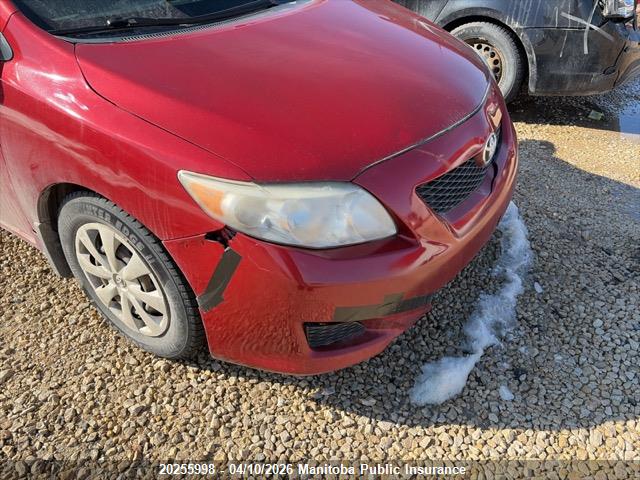 2009 Toyota Corolla მანქანა იყიდება აუქციონზე, vin: 2T1BU40E99C002445, აუქციონის ნომერი: 20255998