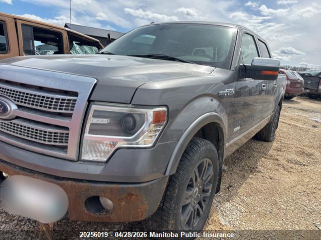 2013 Ford F150 Platinum Supercrew მანქანა იყიდება აუქციონზე, vin: 1FTFW1ET6DFA40362, აუქციონის ნომერი: 20256019