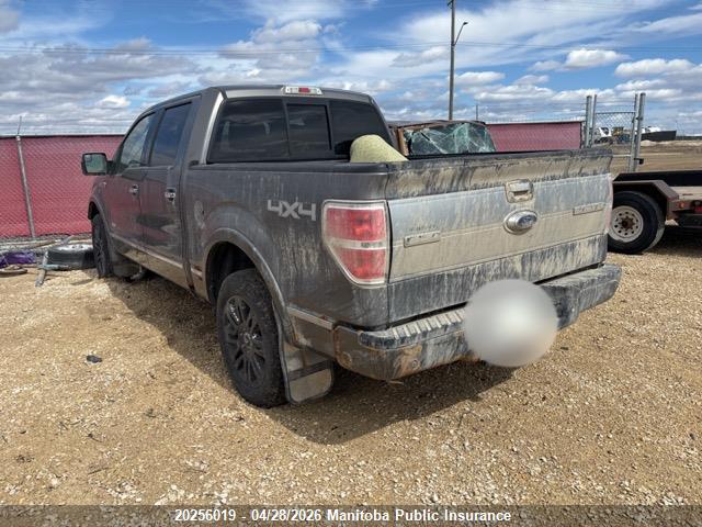 2013 Ford F150 Platinum Supercrew მანქანა იყიდება აუქციონზე, vin: 1FTFW1ET6DFA40362, აუქციონის ნომერი: 20256019