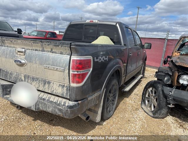 2013 Ford F150 Platinum Supercrew მანქანა იყიდება აუქციონზე, vin: 1FTFW1ET6DFA40362, აუქციონის ნომერი: 20256019