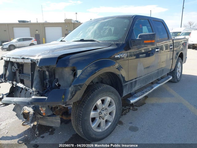 20256078 :رقم المزاد ، 1FTFW1EF4DFA81308 vin ، 2013 Ford F150 Xlt Supercrew مزاد بيع