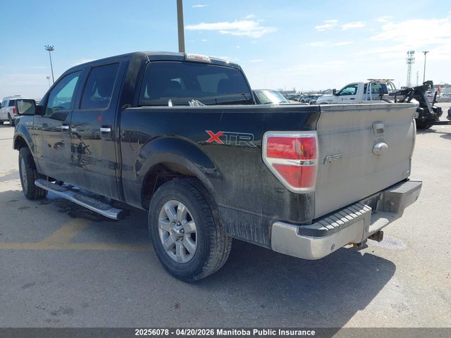 20256078 :رقم المزاد ، 1FTFW1EF4DFA81308 vin ، 2013 Ford F150 Xlt Supercrew مزاد بيع