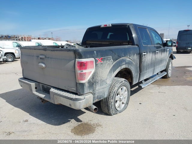 20256078 :رقم المزاد ، 1FTFW1EF4DFA81308 vin ، 2013 Ford F150 Xlt Supercrew مزاد بيع