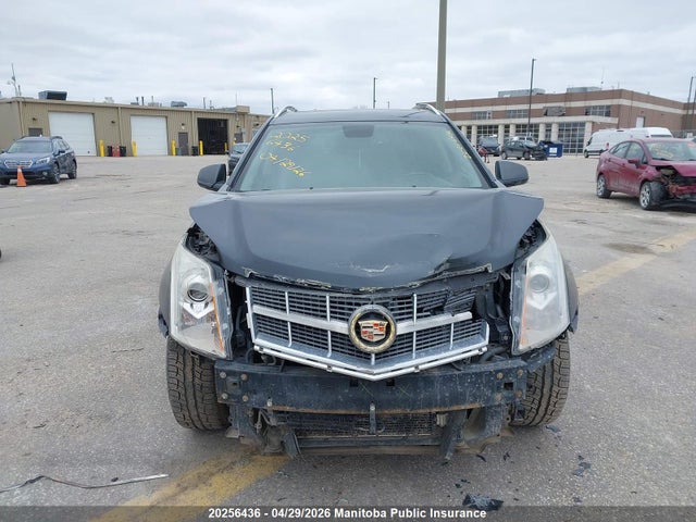 Aukcja sprzedaży 2010 Cadillac Srx V6, vin: 3GYFNFEY9AS510137, numer aukcji: 20256436