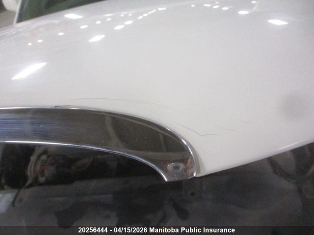 Продаж на аукціоні авто 2009 Buick Lucerne Cx V6, vin: 1G4HP57M49U117487, номер лоту: 20256444