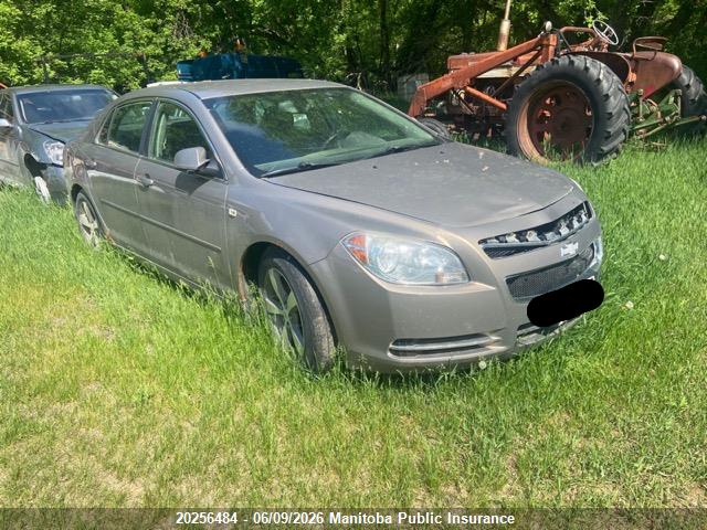 2008 Chevrolet Malibu Lt მანქანა იყიდება აუქციონზე, vin: 1G1ZJ57B48F269810, აუქციონის ნომერი: 20256484