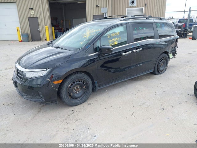 Aukcja sprzedaży 2022 Honda Odyssey Ex-l, vin: 5FNRL6H60NB503207, numer aukcji: 20256506