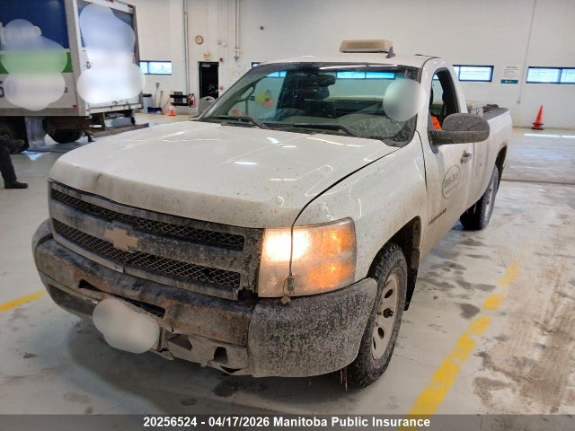 Продаж на аукціоні авто 2013 Chevrolet Silverado 1500 Wt, vin: 1GCNCPEX1DZ388367, номер лоту: 20256524