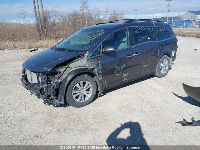 5FNRL5H42EB502309 Honda ODYSSEY EX