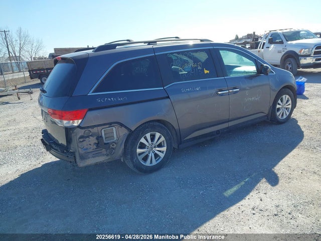 5FNRL5H42EB502309 Honda ODYSSEY EX