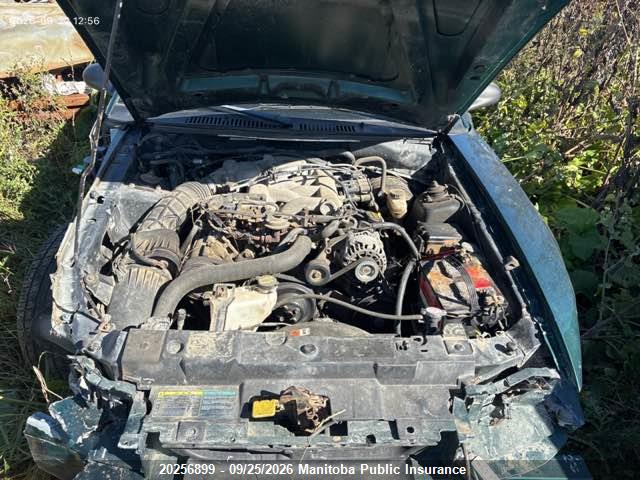 2003 Ford Mustang მანქანა იყიდება აუქციონზე, vin: 1FAFP40483F433489, აუქციონის ნომერი: 20256899