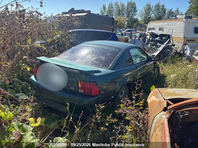 2003 Ford Mustang მანქანა იყიდება აუქციონზე, vin: 1FAFP40483F433489, აუქციონის ნომერი: 20256899