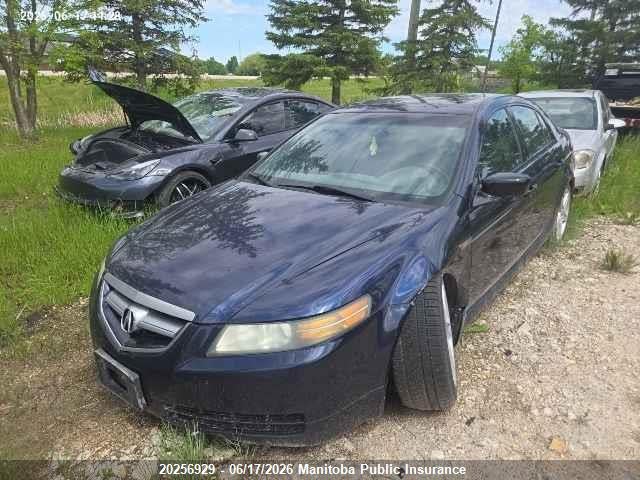Aukcja sprzedaży 2004 Acura 3.2 Tl, vin: 19UUA66254A802622, numer aukcji: 20256929