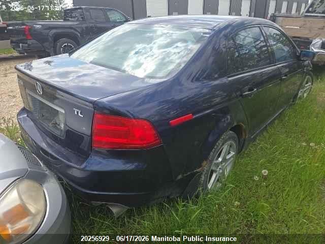 Aukcja sprzedaży 2004 Acura 3.2 Tl, vin: 19UUA66254A802622, numer aukcji: 20256929