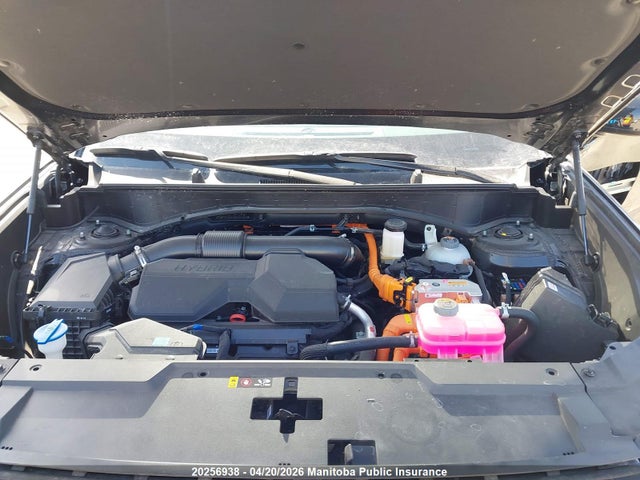 20256938 :رقم المزاد ، KM8P3DG11SU119548 vin ، 2025 Hyundai Santa Fe Preferred Hybrid مزاد بيع