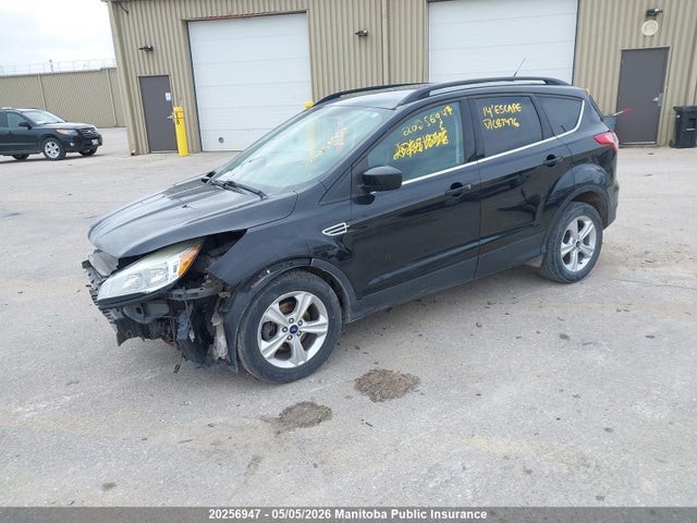 Aukcja sprzedaży 2014 Ford Escape Se, vin: 1FMCU0GX1EUC87476, numer aukcji: 20256947