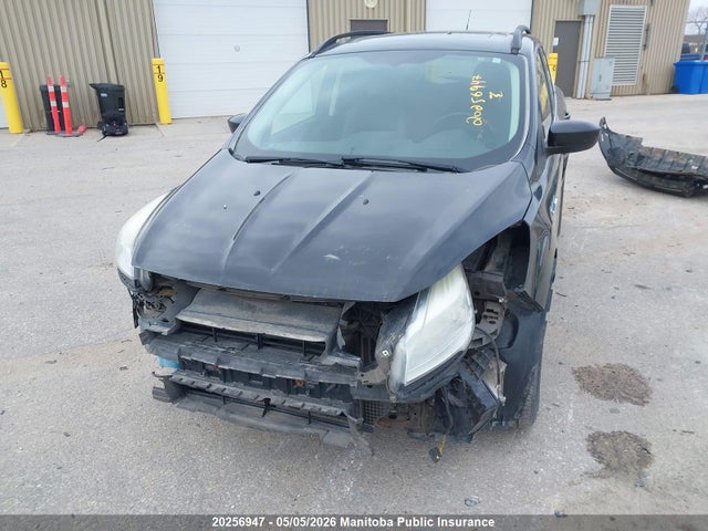Aukcja sprzedaży 2014 Ford Escape Se, vin: 1FMCU0GX1EUC87476, numer aukcji: 20256947