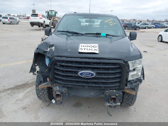 2016 Ford F150 Xlt Supercrew მანქანა იყიდება აუქციონზე, vin: 1FTEW1EF1GFA02676, აუქციონის ნომერი: 20256959
