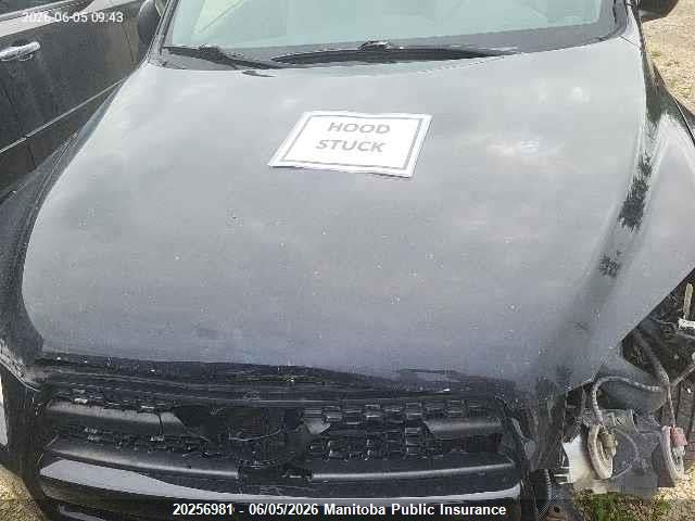 20256981 :رقم المزاد ، JTMBF33V495000535 vin ، 2009 Toyota Rav4 مزاد بيع