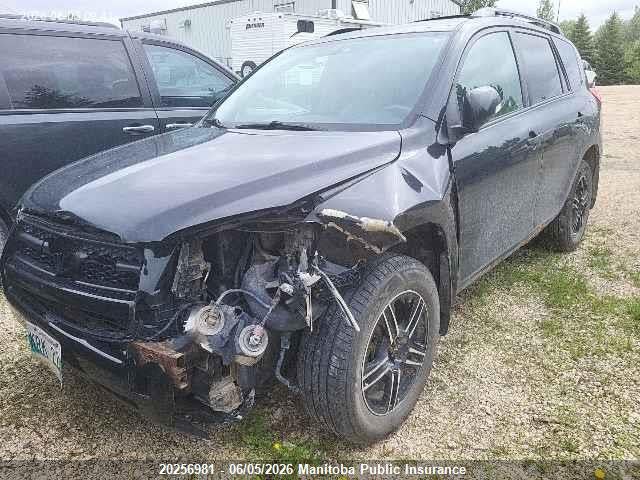 20256981 :رقم المزاد ، JTMBF33V495000535 vin ، 2009 Toyota Rav4 مزاد بيع