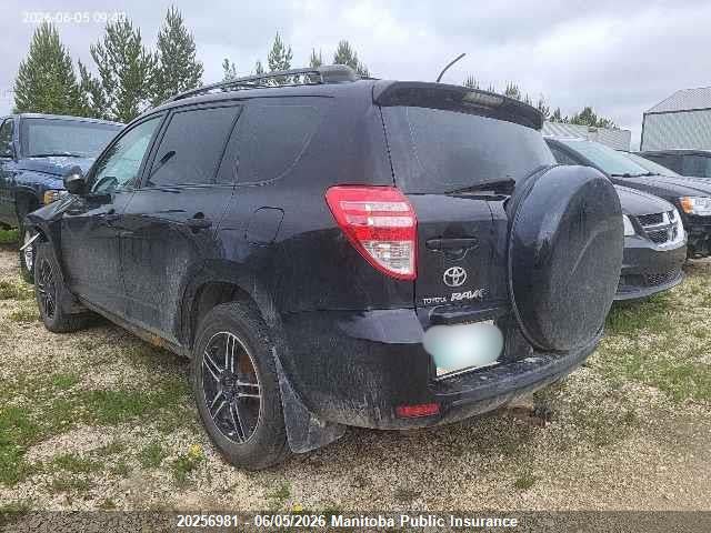 20256981 :رقم المزاد ، JTMBF33V495000535 vin ، 2009 Toyota Rav4 مزاد بيع