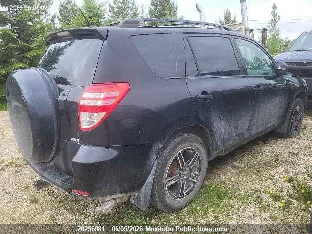 20256981 :رقم المزاد ، JTMBF33V495000535 vin ، 2009 Toyota Rav4 مزاد بيع