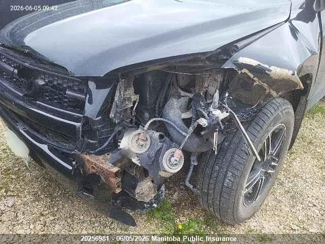 20256981 :رقم المزاد ، JTMBF33V495000535 vin ، 2009 Toyota Rav4 مزاد بيع