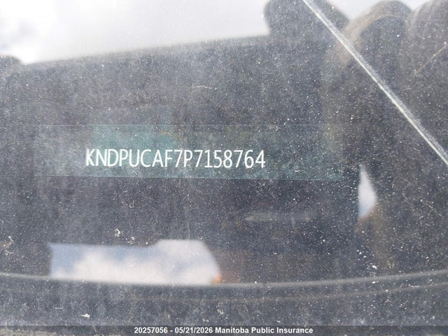 Продаж на аукціоні авто 2023 Kia Sportage X-line, vin: KNDPUCAF7P7158764, номер лоту: 20257056