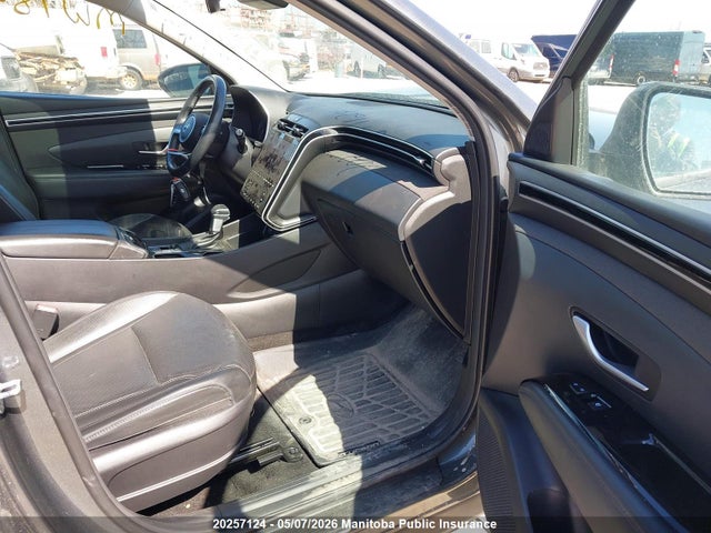 2023 Hyundai Tucson Preferred მანქანა იყიდება აუქციონზე, vin: KM8JCCAE2PU206278, აუქციონის ნომერი: 20257124