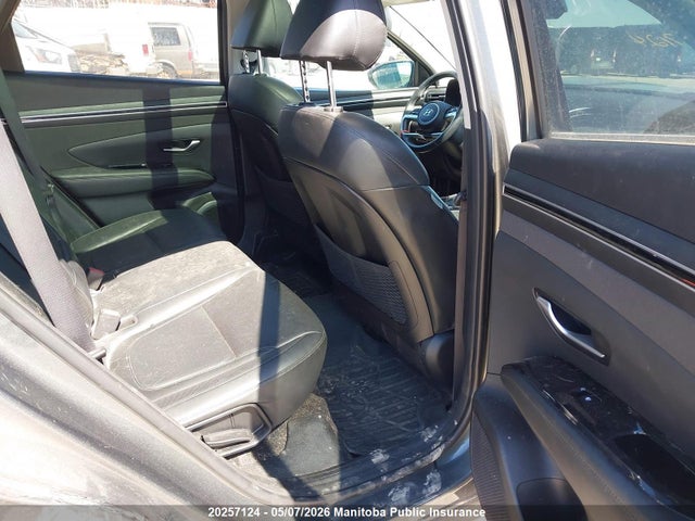 2023 Hyundai Tucson Preferred მანქანა იყიდება აუქციონზე, vin: KM8JCCAE2PU206278, აუქციონის ნომერი: 20257124