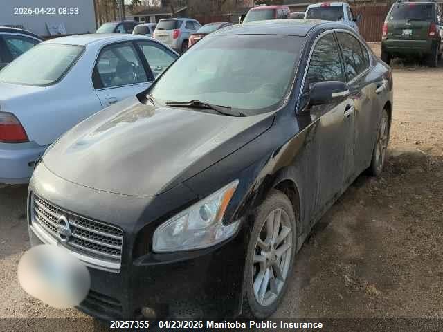 Продажа на аукционе авто 2010 Nissan Maxima 3.5 Sv, vin: 1N4AA5AP5AC833034, номер лота: 20257355