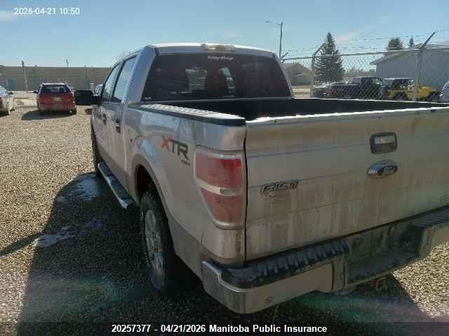20257377 :رقم المزاد ، 1FTFW1EF6DFC22749 vin ، 2013 Ford F150 Xlt Supercrew مزاد بيع