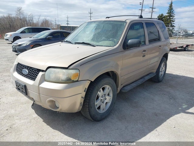 Продажа на аукционе авто 2007 Ford Escape Limited V6, vin: 1FMYU94107KB74871, номер лота: 20257442
