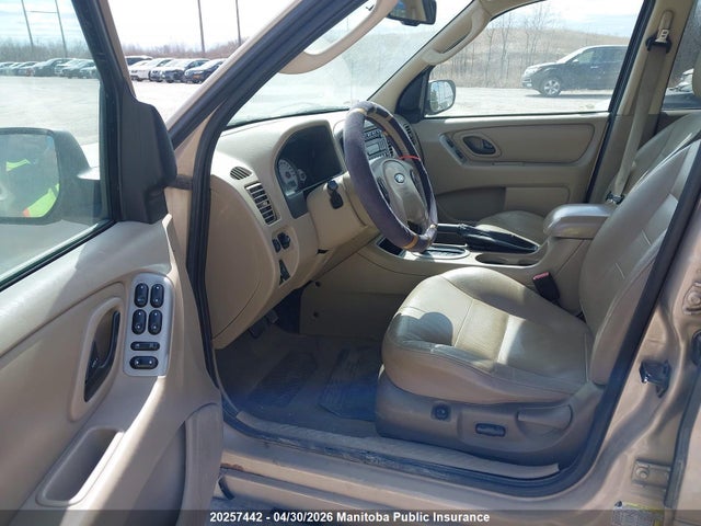 Продажа на аукционе авто 2007 Ford Escape Limited V6, vin: 1FMYU94107KB74871, номер лота: 20257442
