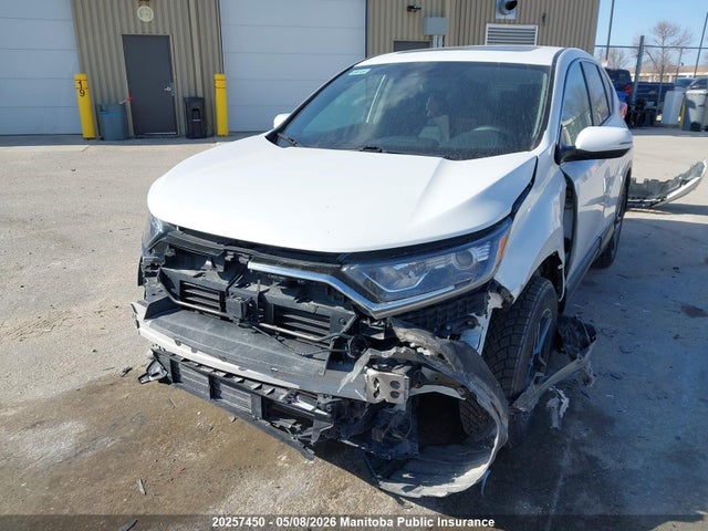 2019 Honda Cr-v Ex მანქანა იყიდება აუქციონზე, vin: 2HKRW2H57KH140554, აუქციონის ნომერი: 20257450