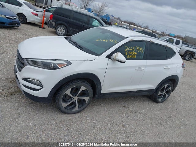 2016 Hyundai Tucson 1.6t მანქანა იყიდება აუქციონზე, vin: KM8J3CA26GU244828, აუქციონის ნომერი: 20257543
