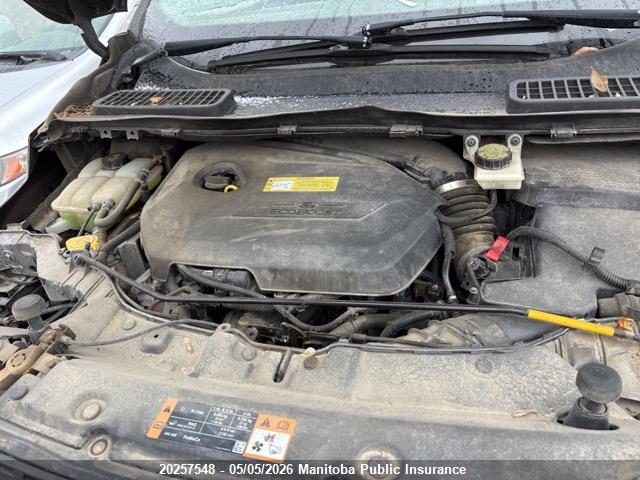Aukcja sprzedaży 2014 Ford Escape Se, vin: 1FMCU0GX4EUB18102, numer aukcji: 20257548