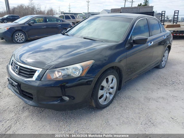 20257576 :رقم المزاد ، 1HGCP36848A800833 vin ، 2008 Honda Accord Ex-l V6 مزاد بيع