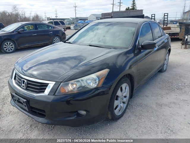 20257576 :رقم المزاد ، 1HGCP36848A800833 vin ، 2008 Honda Accord Ex-l V6 مزاد بيع