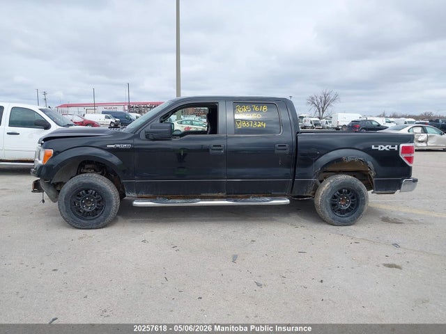 2009 Ford F150 Xlt Supercrew მანქანა იყიდება აუქციონზე, vin: 1FTRW148X9FB37324, აუქციონის ნომერი: 20257618