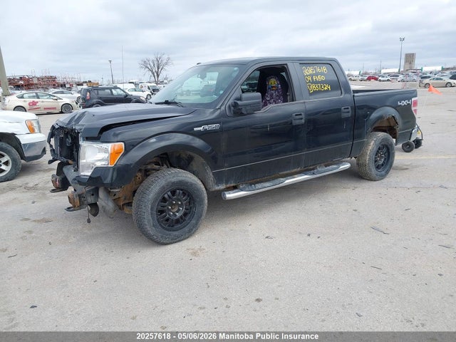2009 Ford F150 Xlt Supercrew მანქანა იყიდება აუქციონზე, vin: 1FTRW148X9FB37324, აუქციონის ნომერი: 20257618